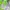 Ellesse Biker Windbreaker Pria white green photo 1
