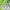 Ellesse Biker Windbreaker Pria White Green