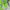 Ellesse Biker Windbreaker Pria white green photo 4