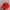 Vintage Y2K Hat Pria red photo 1