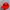 Vintage Y2K Hat Pria Red