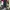 Adidas Gorpcore Tracksuit Pria black photo 1