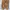 Casual Ankle boots Kids brown photo 1