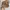 Casual Ankle boots Kids brown photo 1