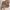 Casual Ankle Boots Kids Brown