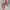 Streetwear Casual Boots Kids pink photo 3