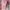 Streetwear Casual Boots Kids pink photo 1