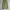 Shein Vintage Tracksuit Pria green photo 1