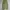 Shein Vintage Tracksuit Pria Green