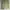 Shein Vintage Tracksuit Pria green photo 3