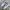 Nike Streetwear Sneakers Pria white black photo 1