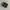 VANS Skater Sneakers Pria white black photo 1