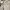Bershka Crop top Wanita white photo 4