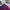 The North Face Gorpcore Sportswear Windbreaker Pria red photo 5