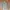 Nike Sportswear Casual Track jacket Pria multicolor photo 2