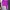 Luxury Sportswear Swimwear Wanita purple photo 4