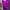 Luxury Sportswear Swimwear Wanita purple photo 6