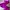 Luxury Sportswear Swimwear Wanita purple photo 1