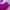 Luxury Sportswear Swimwear Wanita purple photo 2