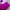 Luxury Sportswear Swimwear Wanita Purple