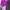 Luxury Sportswear Swimwear Wanita purple photo 3