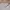H&M Streetwear Y2K Sweater Pria Cream