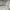Adidas Streetwear Sportswear Jersey Pria white photo 3