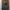 Abercrombie & Fitch Casual Hoody Pria Gray