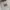 Miu Miu Y2K Casual Tote bag Wanita tan brown photo 5