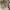 Miu Miu Y2K Casual Tote bag Wanita tan brown photo 3