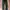 GAP Streetwear Skater Pria green photo 1