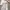 Indie Casual Formal shirt Pria white photo 3
