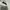 Indie Casual Formal shirt Pria white photo 1