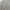 Oakley Vintage Sweater Pria tan photo 5