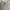 Oakley Vintage Sweater Pria tan photo 6