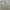 Oakley Vintage Sweater Pria tan photo 2