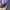 Ben Davis Streetwear Gorpcore Fleece Pria purple cream photo 2