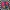 Japanese Brand Streetwear Casual Bomber Jacket Pria Multicolor