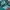 Adidas Indie Casual Sneakers Wanita white green photo 2