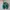 Adidas Indie Casual Sneakers Wanita white green photo 3