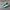 Adidas Indie Casual Sneakers Wanita white green photo 1
