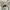 Oakley Sportswear Polo shirt Pria white photo 8