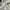 Oakley Sportswear Polo shirt Pria white photo 4