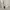 Oakley Sportswear Polo shirt Pria white photo 5