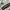 Adidas Sportswear Jersey Pria white photo 5