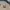 Vintage Streetwear T-shirt Pria tan photo 2