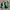 Nike Streetwear Y2K Sneakers Pria green black photo 3