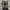 Nike Streetwear Y2K Sneakers Pria green black photo 5
