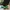 Nike Streetwear Y2K Sneakers Pria green black photo 1