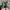Nike Streetwear Y2K Sneakers Pria green black photo 4